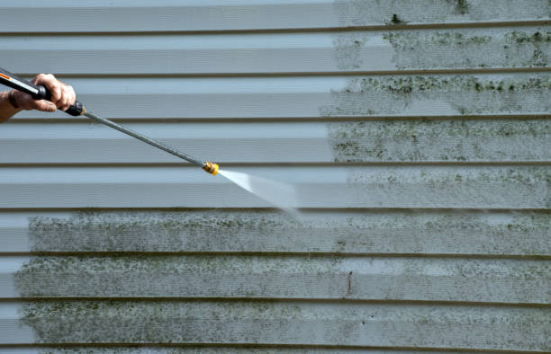 Home Mold Removal in Sanford, NC