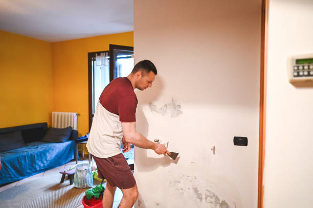 Best Mold Removal Near Me  in Sanford, NC