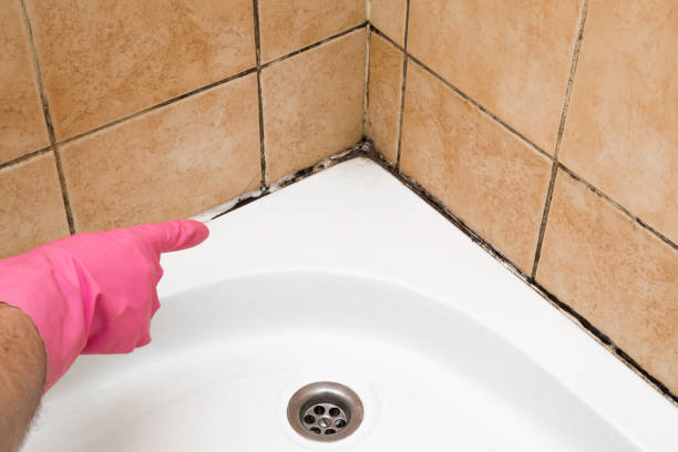 Best Mold Testing  in Sanford, NC